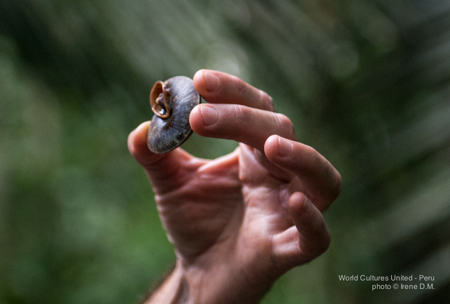 medicines_jungle_tour-29